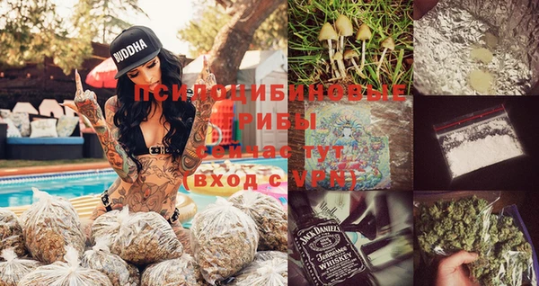мескалин Алексин