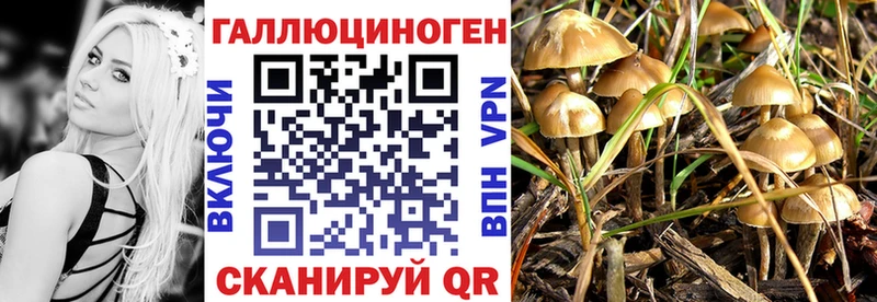 МЕГА ССЫЛКА Орёл Псилоцибиновые грибы мицелий